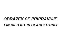 župan