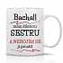 MÁM ŠÍLENOU SESTRU - klasický bílý keramický hrníček 300 ml