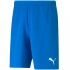 SPORT Pánské šortky teamRISE Short 704942 02 Světle modrá - Puma