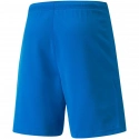 SPORT Pánské šortky teamRISE Short 704942 02 Světle modrá - Puma