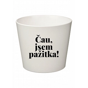 ČAU, JSEM PAŽITKA! - malý květináč 