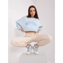 Dámská mikina Boston - FPrice