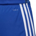 Pánské šortky Tastigo19  DP3682 Královská modř s bílou - Adidas