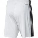 Pánské šortky Squadra 21 Short  GN5773 -  Adidas