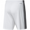 Pánské šortky Squadra 21 Short  GN5773 -  Adidas