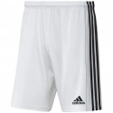 Pánské šortky Squadra 21 Short  GN5773 -  Adidas