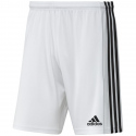 Pánské šortky Squadra 21 Short  GN5773 -  Adidas