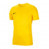 Dětský tréninkový dress Jr BV6741-719 žlutý - Nike