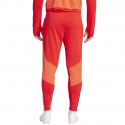 Pánské kraťasy FC Bayern M IQ0605 - Adidas