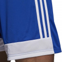 Pánské šortky Tastigo19  DP3682 Královská modř s bílou - Adidas
