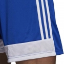 Pánské šortky Tastigo19  DP3682 Královská modř s bílou - Adidas