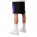 Pánské šortky NBA Team Los Angeles 60284721 Černá mix - Lakers