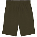 Pánské šortky M 684715 70 tmavě zelené - Puma