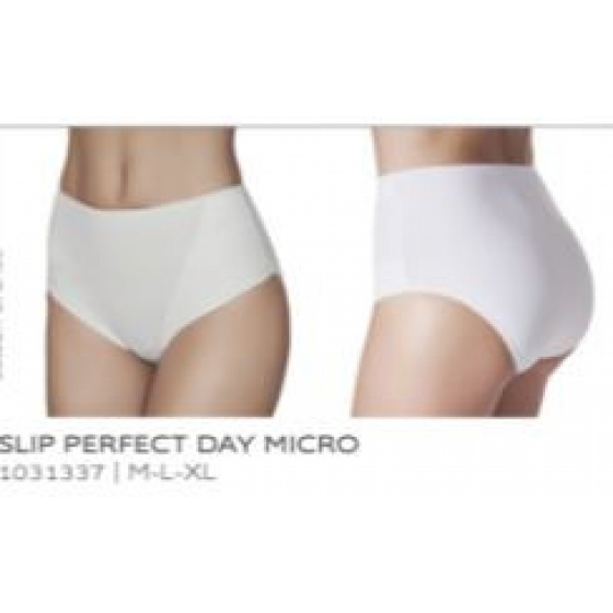 Kalhotky Slip Perfect Day Micro 1031337 - Janira