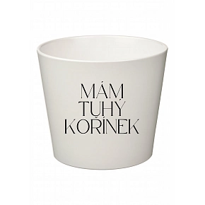 MÁM TUHÝ KOŘÍNEK - malý květináč 