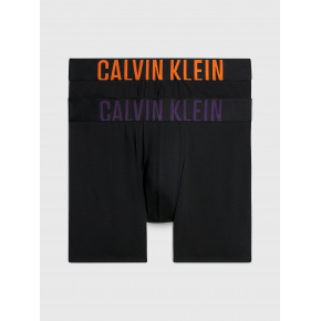 Pánské boxerky 000NB2603A GXL černé - Calvin Klein