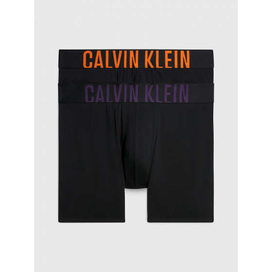 Pánské boxerky 000NB2603A GXL černé - Calvin Klein