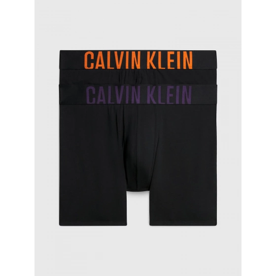 Pánské boxerky 000NB2603A GXL černé - Calvin Klein