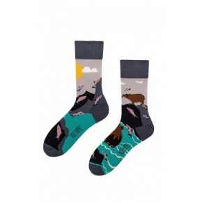 Ponožky pánské Medvěd a Rybky vícebarevná - Spox Sox