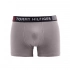Flex Trunk UM0UM02411-PTM - Tommy Hilfiger
