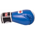 Boxerské rukavice 011113-02WAKO 10oz modré - Top Ten