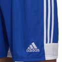 Pánské šortky Tastigo19  DP3682 Královská modř s bílou - Adidas