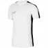 Pánské tričko DF Academy 23 SS M DR1336 - Nike