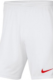 Dětské šortky Y Park III Jr BV6865 103 bílá - Nike