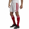 Pánské kraťasy Squadra 21 Short M GN5770 bílo-červené - Adidas
