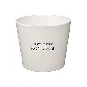BEZ TEBE BYCH ZVADL - malý květináč BEZ TEBE BYCH ZVADL - malý květináč