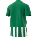 Pánský dres Striped 21 JSY M H35644 zelený - Adidas