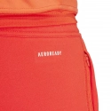 Pánské kraťasy FC Bayern M IQ0605 - Adidas