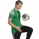Pánské tričko Regista 20 Jersey M FI4559 - Adidas