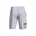 Pánské šortky M 1361510-011 šedé - Under Armour
