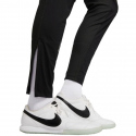 Pánské kalhoty Therma-Fit Strike Kwpz Winter Warrior M DC9159 010 černé - Nike