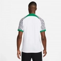 Pánský dres Nigeria DN0695 100 bílý - Nike