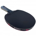 SPORT Pingpongová raketa Timo Boll Titanium SUN/25726 - Butterfly