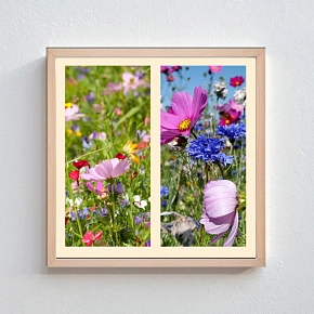 Personalizovaný magický fotoobraz v rámu - čtverec 20x20 - koláž fotografií 