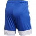 Pánské šortky Tastigo19  DP3682 Královská modř s bílou - Adidas