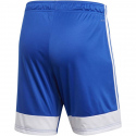 Pánské šortky Tastigo19  DP3682 Královská modř s bílou - Adidas