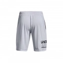 Pánské šortky M 1361510-011 šedé - Under Armour